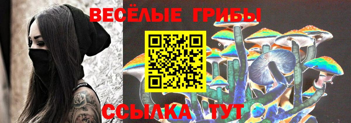 Псилоцибиновые грибы Psilocybe  Вход с VPN  Чусовой 