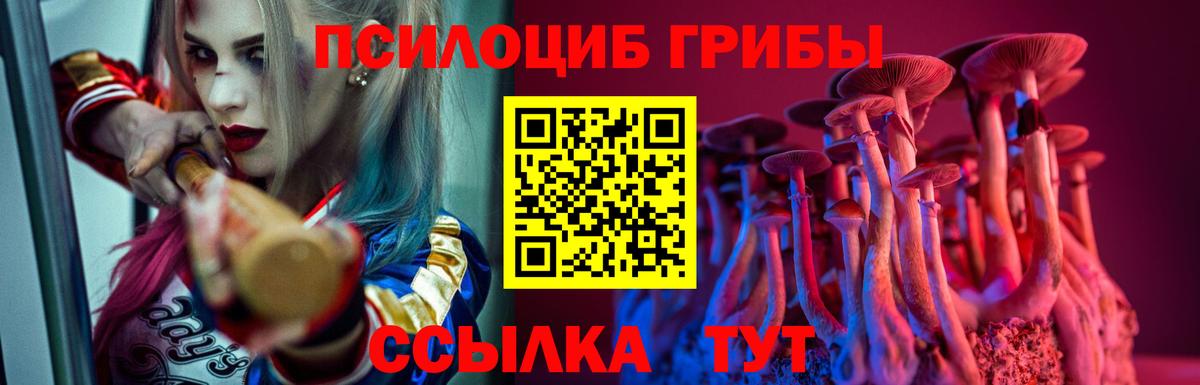 Галлюциногенные грибы Psilocybine cubensis Чусовой